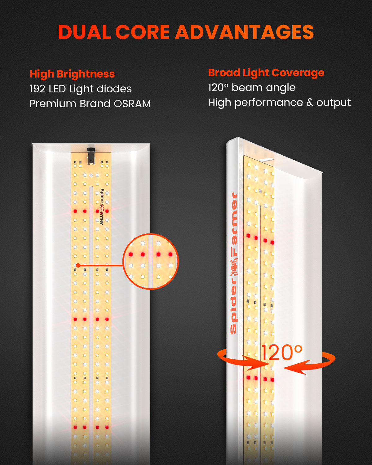 Spider Farmer SF300 LED Luz de - Grow Tent 4X4 reseña y precio