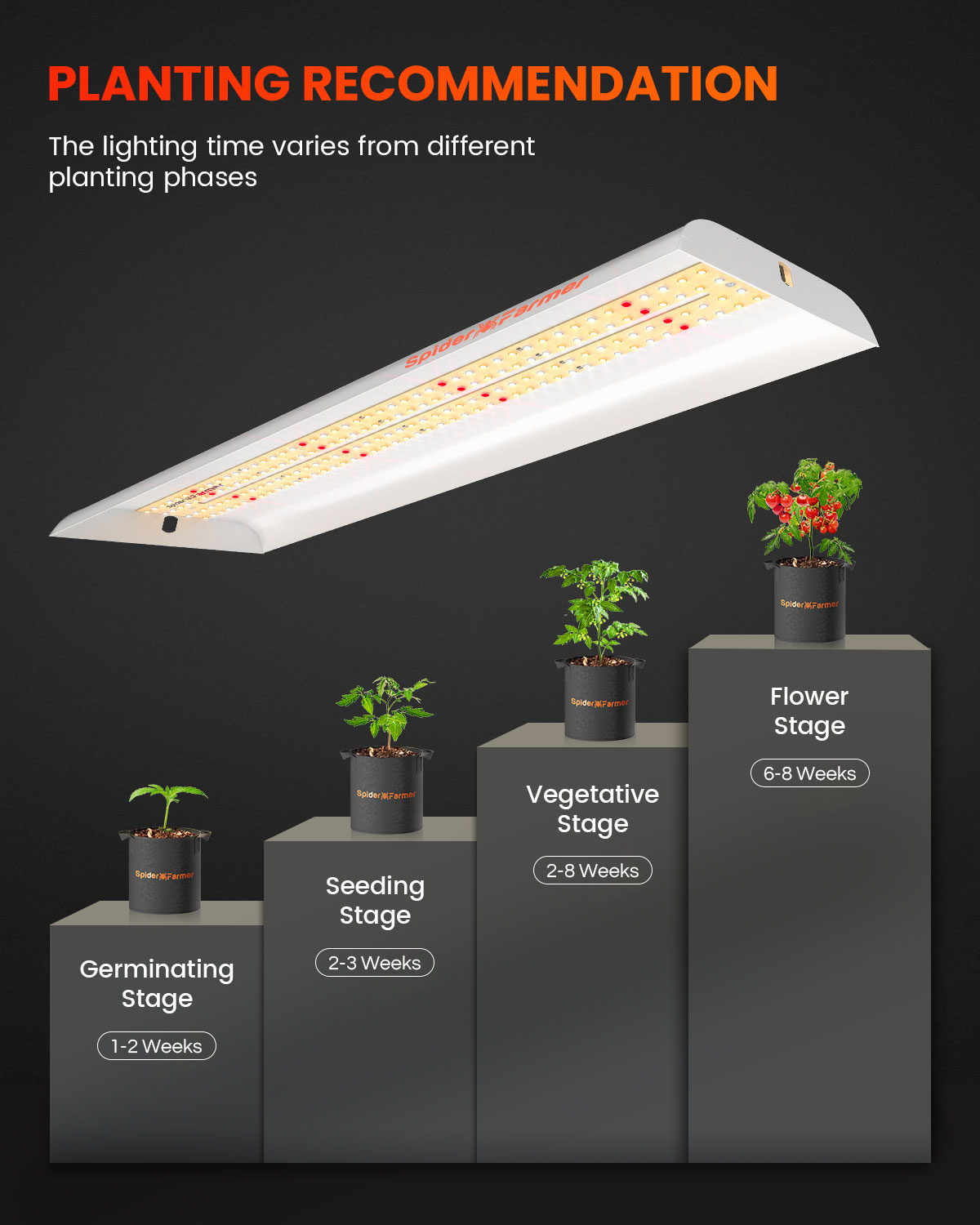 Spider Farmer SF300 LED Luz de - Grow Tent 4X4 reseña y precio