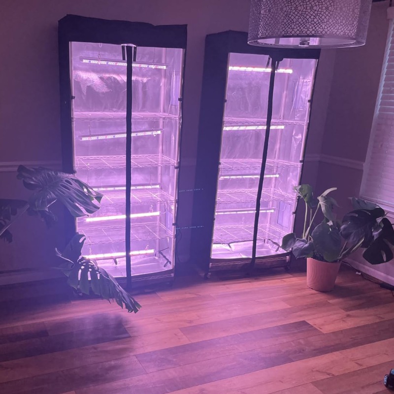 Carpa de cultivo de verduras y - Grow Tent 4X4 reseña y precio